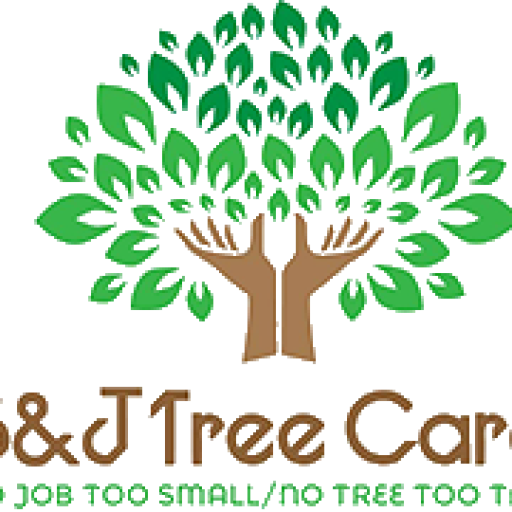 Tree Logo